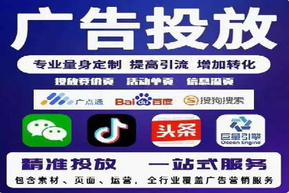 某某SEM团队成功案例：广告投放策略揭秘